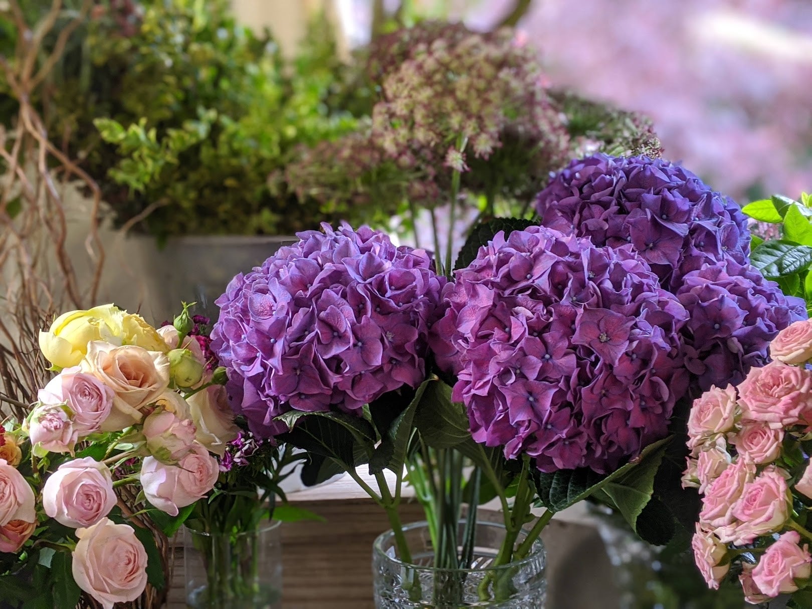 Bunch of luxury hydrangeas Spring Wood Flowers